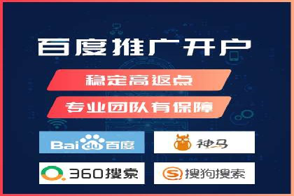 SEM推广技巧：成功案例深度剖析